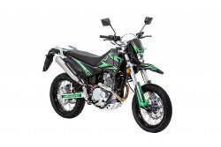 Мотоцикл Motard 250 DD