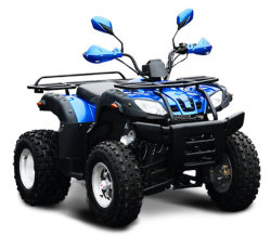 Квадроцикл Omaks XY200ST-6A