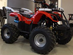 Квадроцикл C.MOTO FXATV-02A SF 8"
