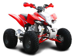 Квадроцикл Omaks XY250ST-13